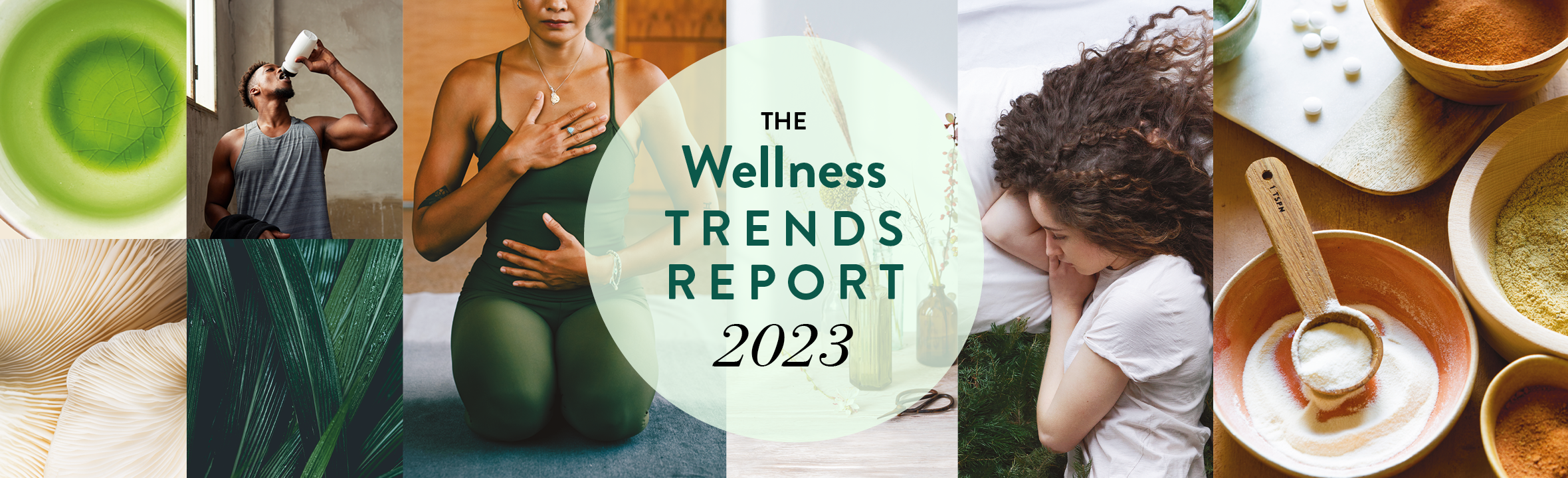 wellness trends report 2023