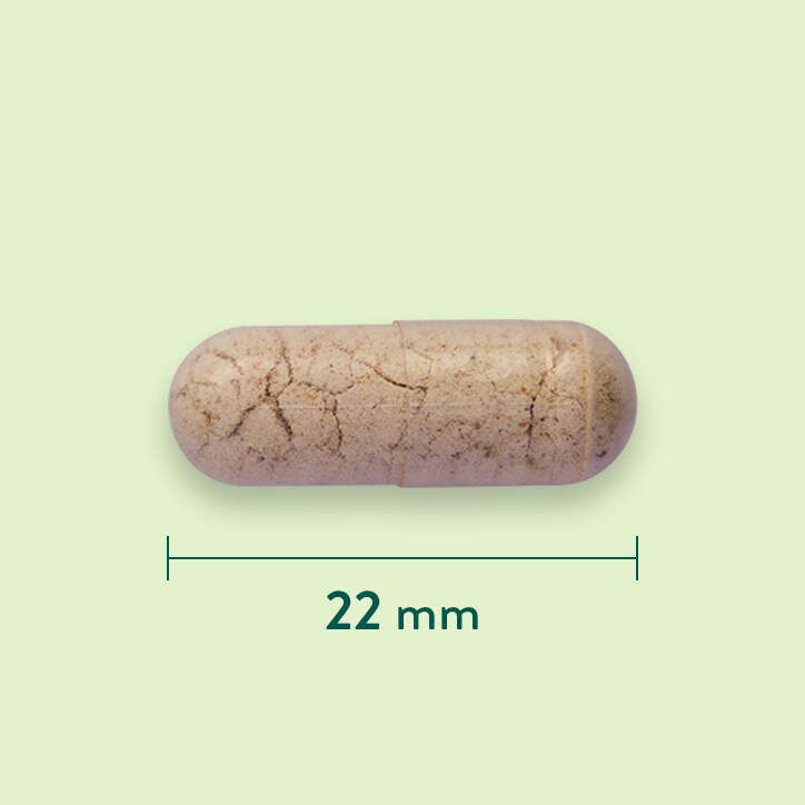 Holland & Barrett Psyllium Vezels 500mg - 180 capsules-3
