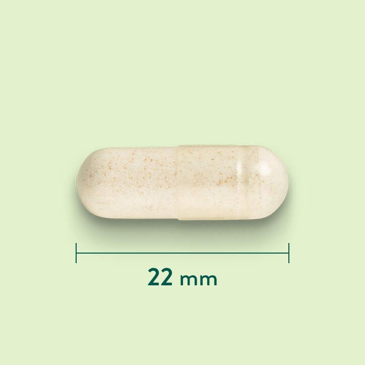 Holland & Barrett Gemberwortel 550 mg - 120 capsules-3