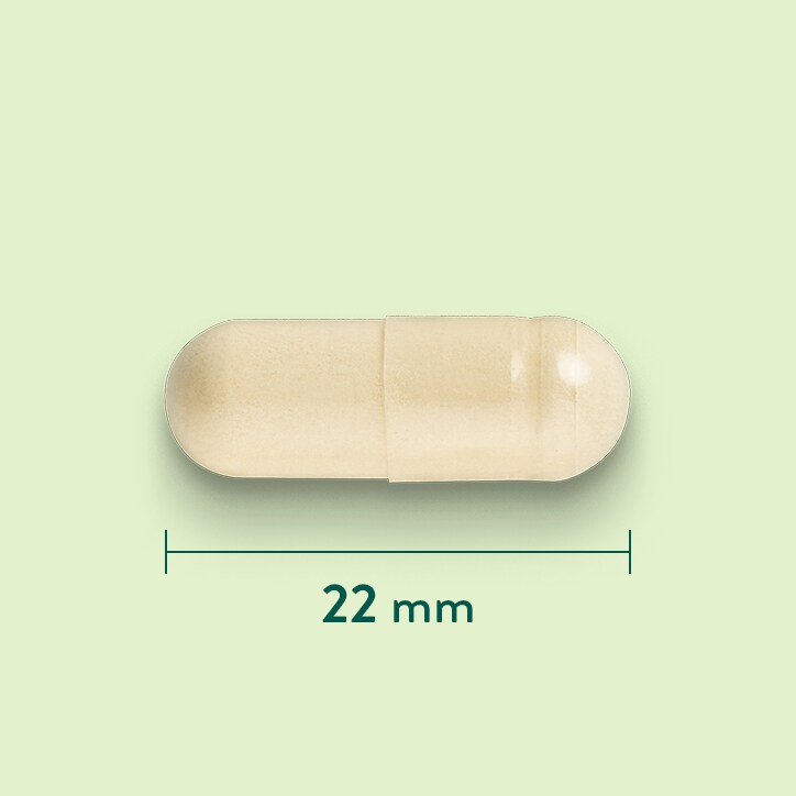 Holland & Barrett Moule à Lèvres Vertes 500 mg - 120 capsules-3