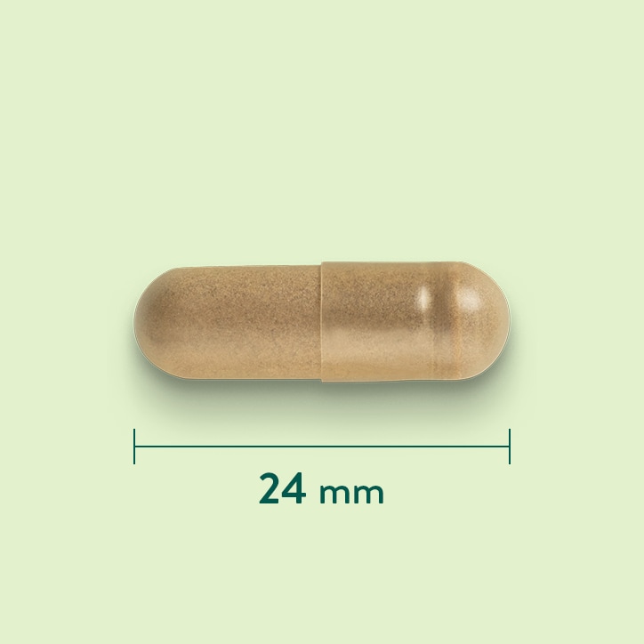 Holland & Barrett Bijen Propolis 500 mg - 90 Capsules-3