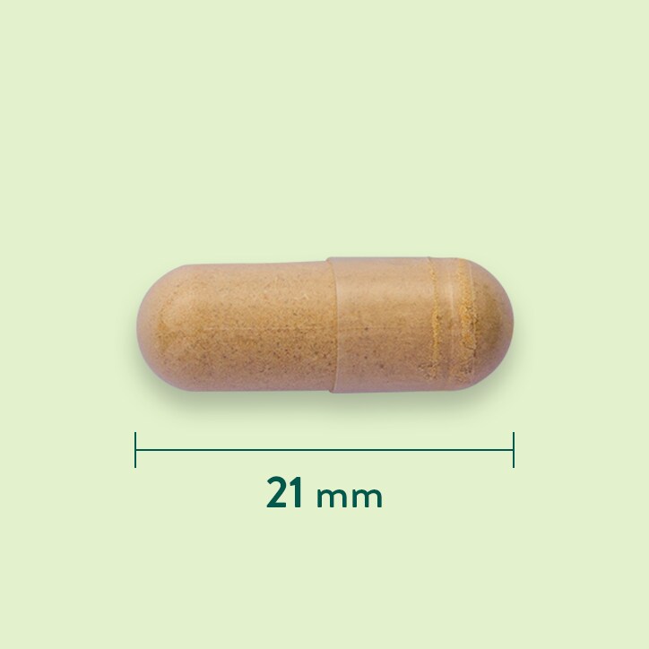 Holland & Barrett Astragalus 470 mg - 90 capsules-3
