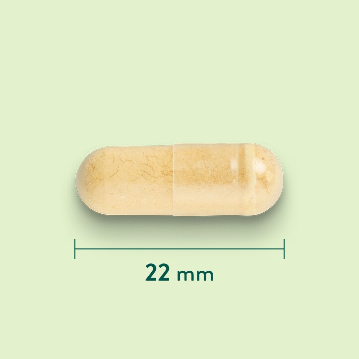 Holland & Barrett Chardon Marie 250 mg - 90 capsules-3