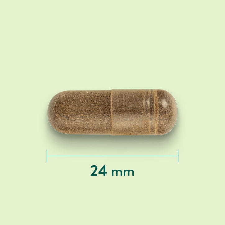 Holland & Barrett Griffe du Diable 510 mg - 120 capsules-3