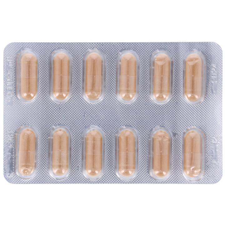 OJAS Ayurveda Bio Amla - 60 capsules-2