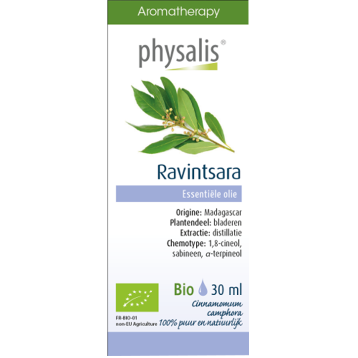 Physalis Ravintsara Bio - 30ml-1