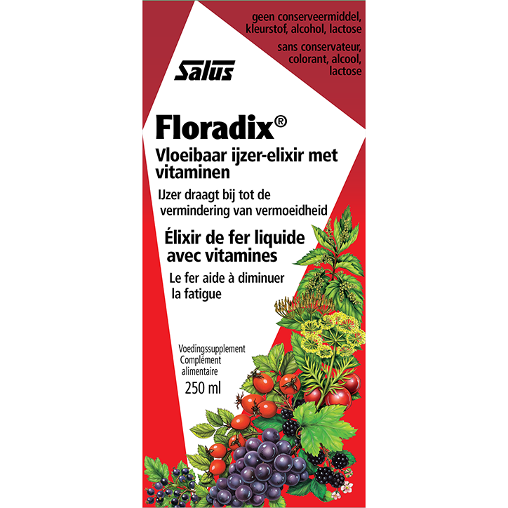 Floradix Sirop fer formule 250 ml-1