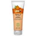 Yes to Carrots Nourishing Shampoo 280ml