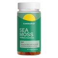 Cannaray Sea Moss Wellness 60 Apple Flavour Gummies 500mg