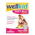 Vitabiotics WellKid Soft Jelly Pastilles Wildberry 30 Chews