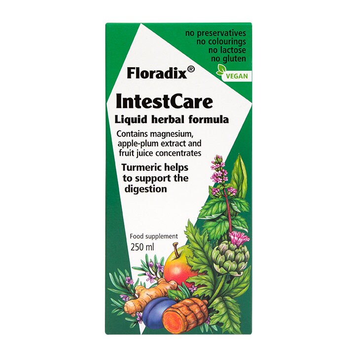 Floradix Intestcare Liquid Herbal Formula 250ml-1
