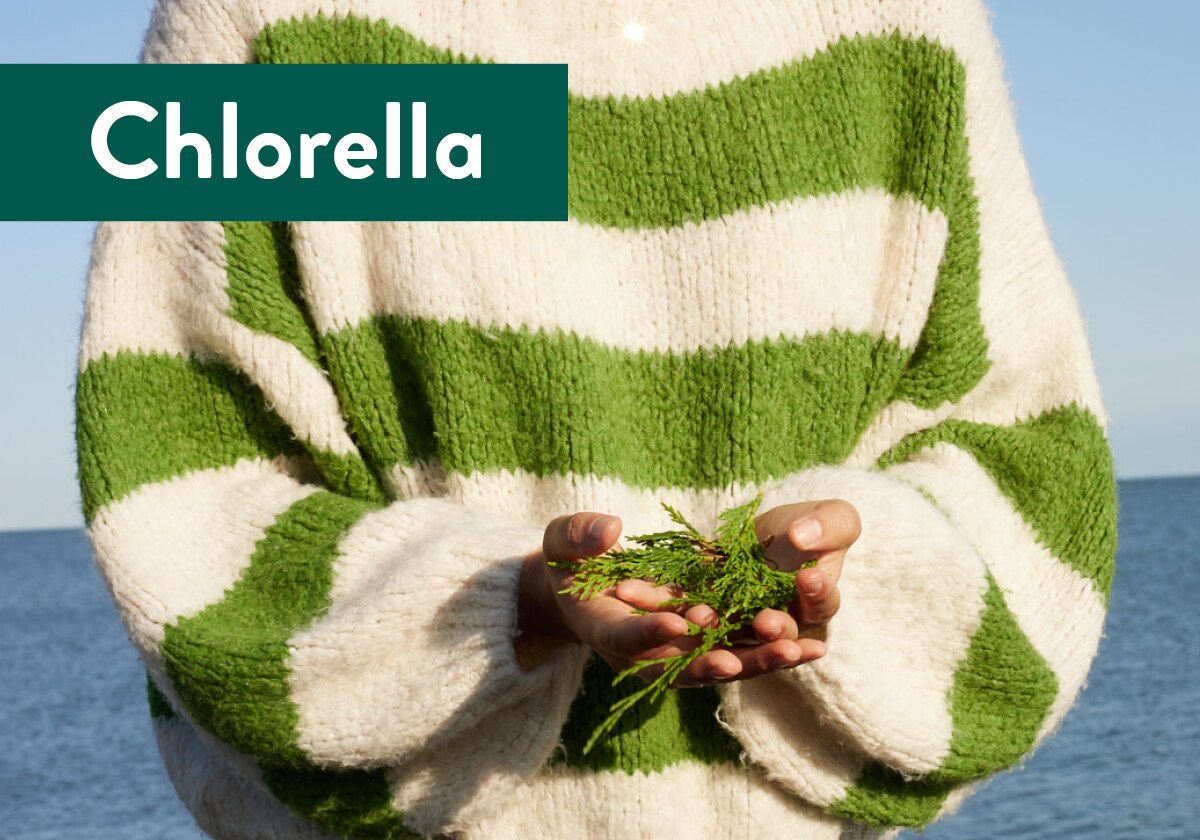 Chlorella