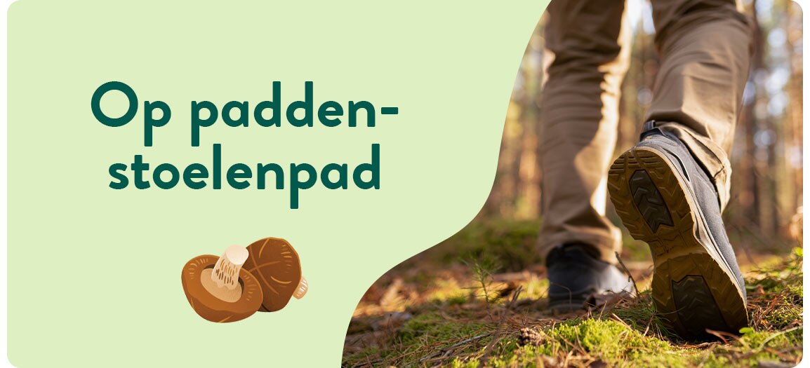 Paddenstoelen wandelroute