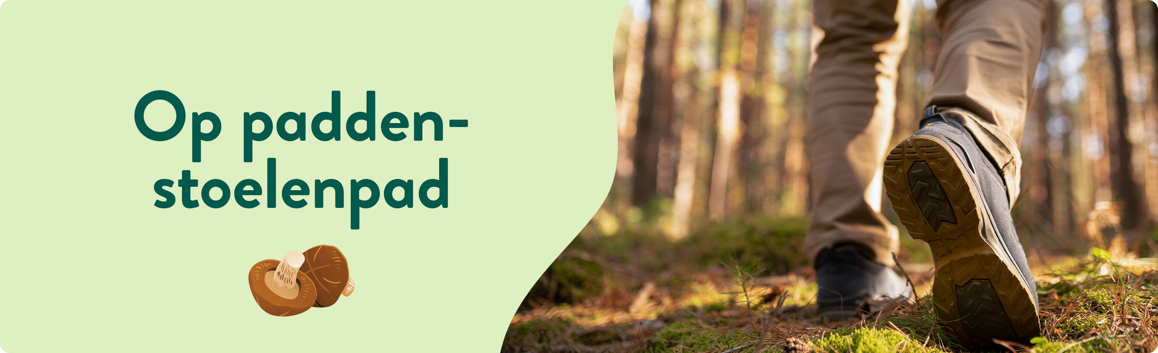 Paddenstoelen wandelroute