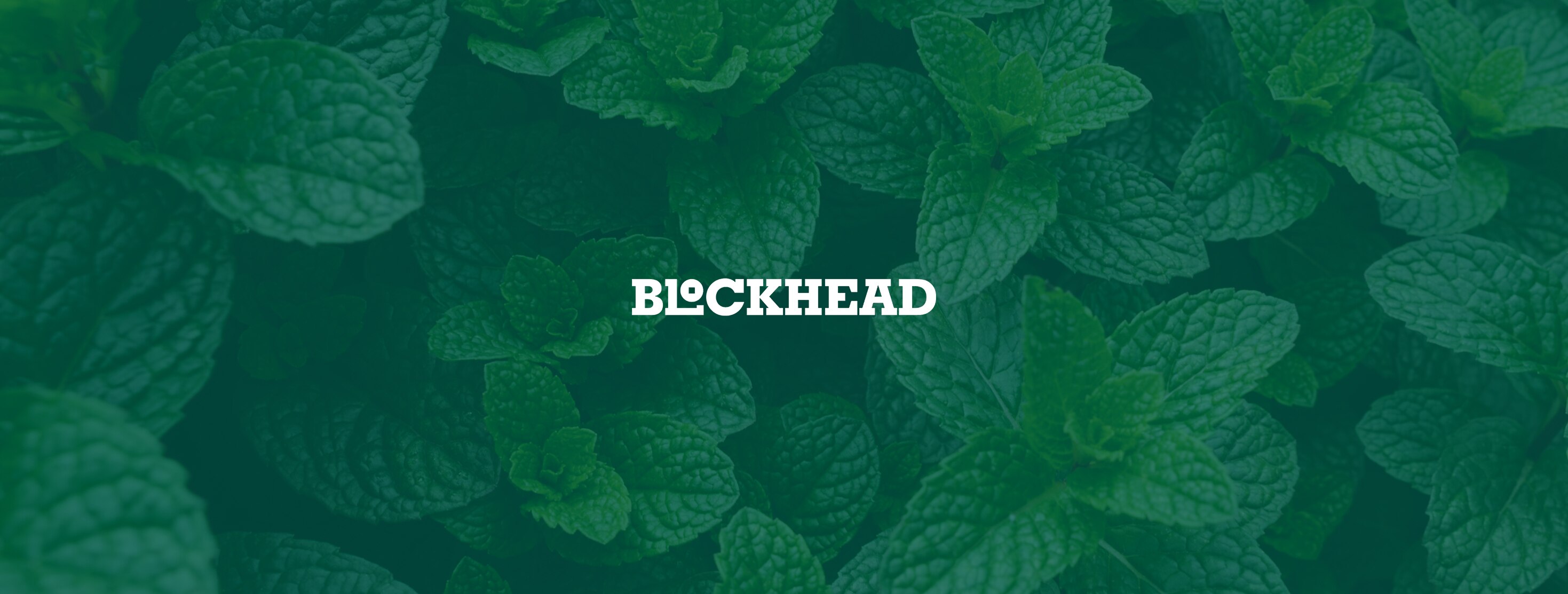 Blockhead