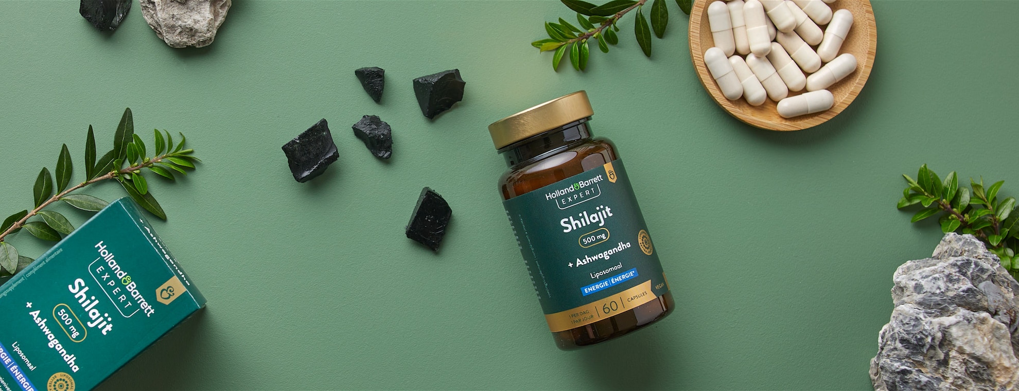 Wat is Shilajit?