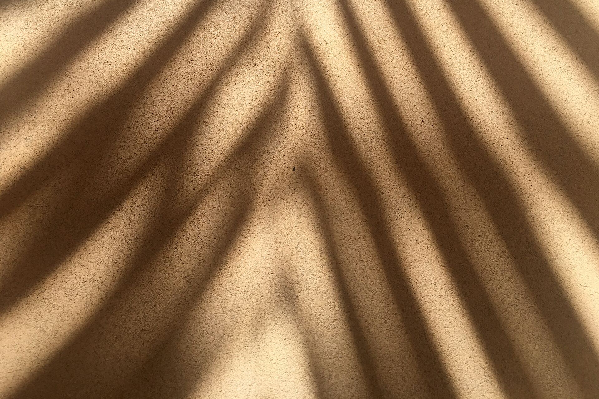 Hoe word je snel bruin? Alles over bruin worden | Holland & Barrett