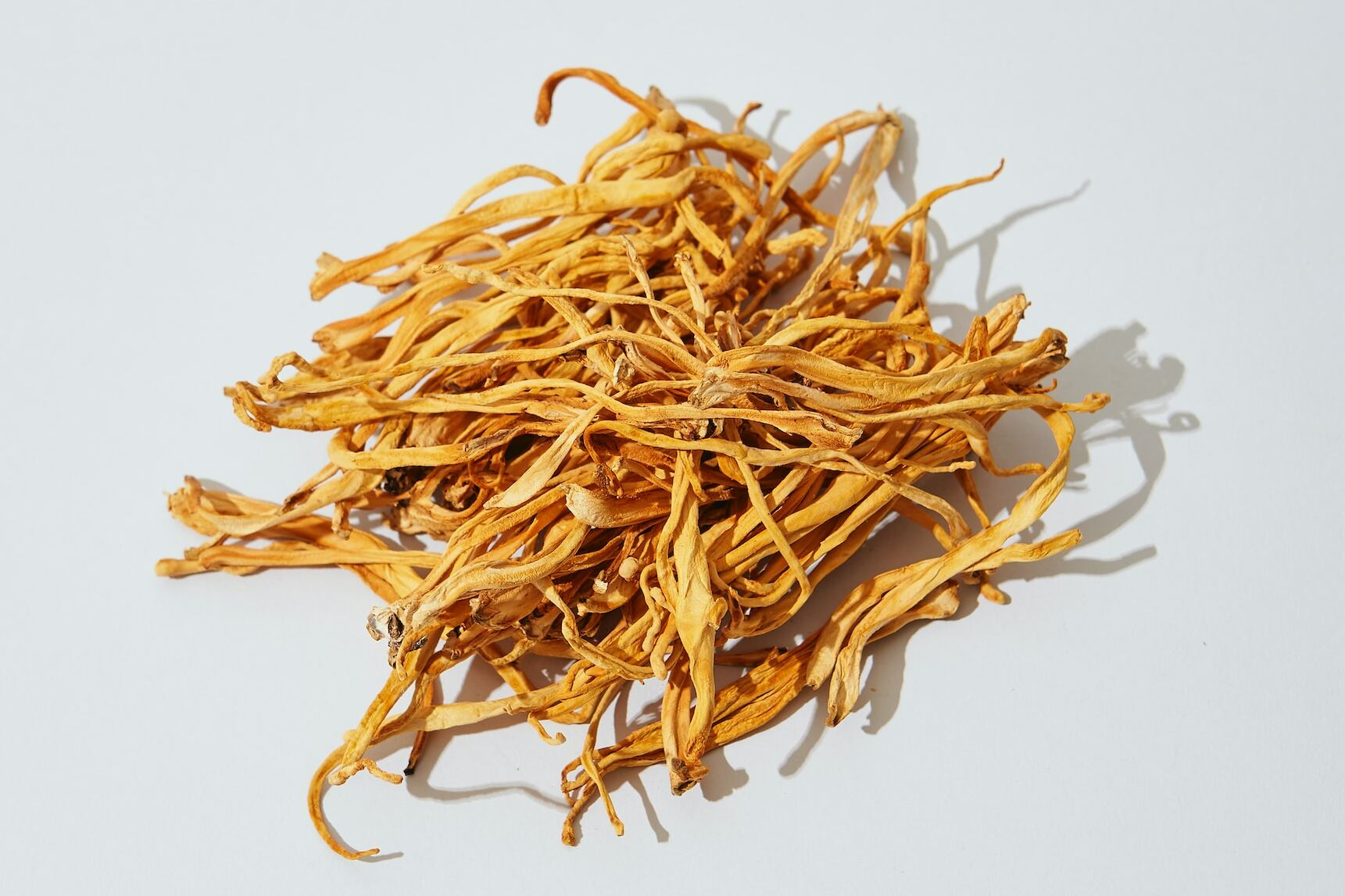 Cordyceps een duister monster of een superfood met status? Holland