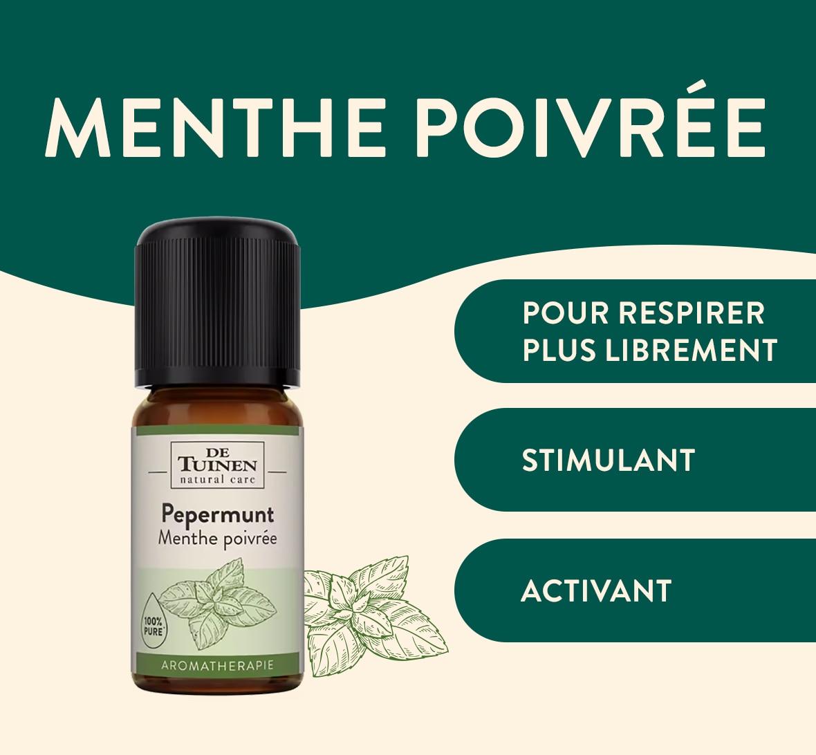 Menthe poivrée