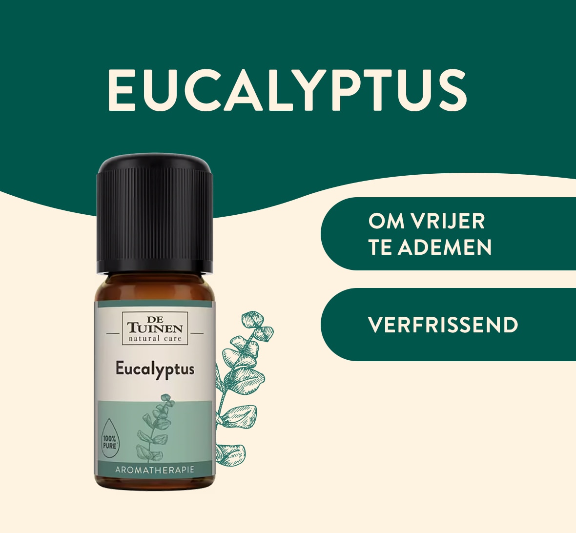 eucalyptus-essentiele-olie