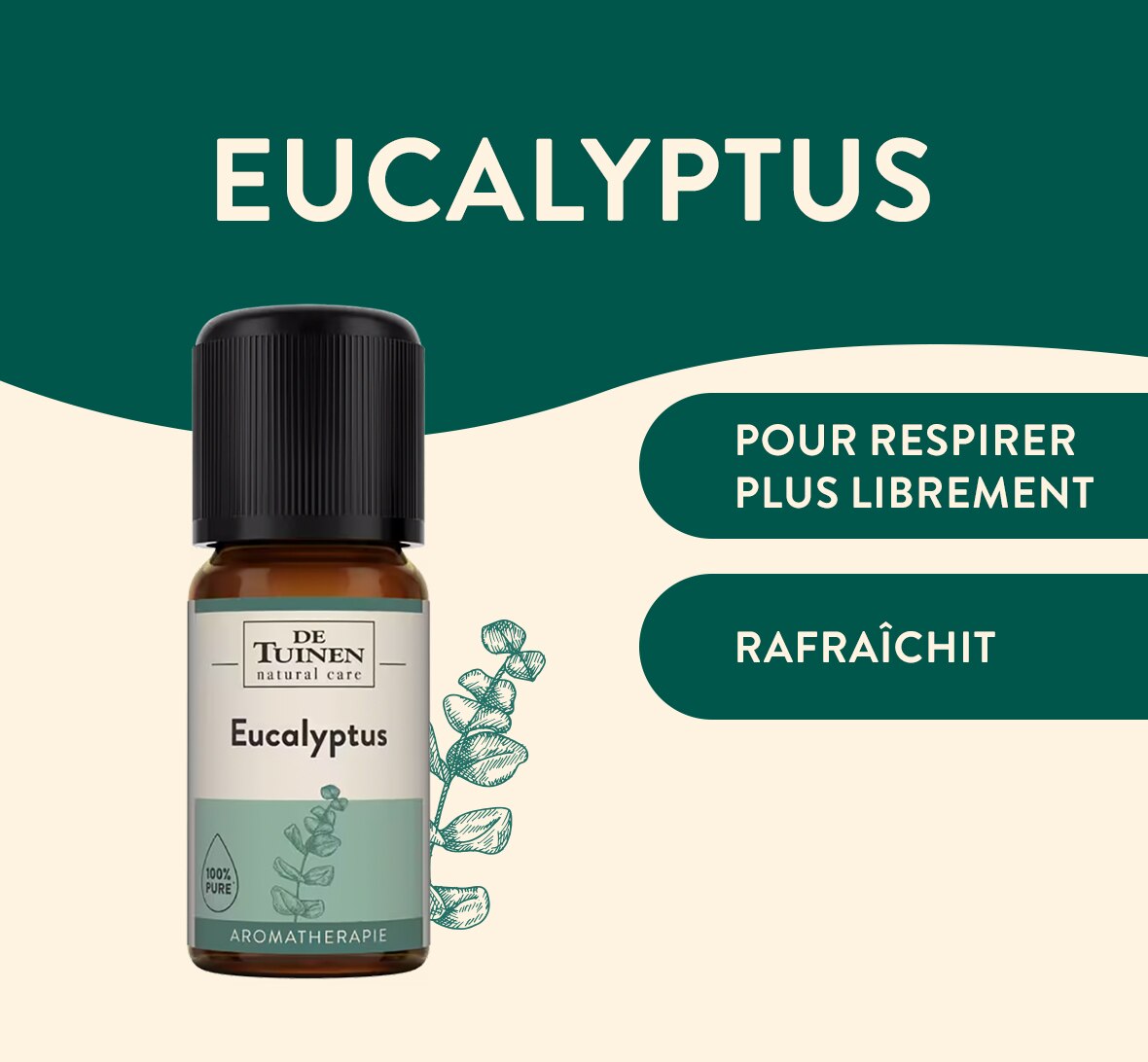 Eucalyptus