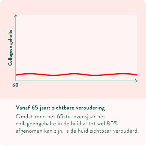 Collageen vanaf 65 jaar