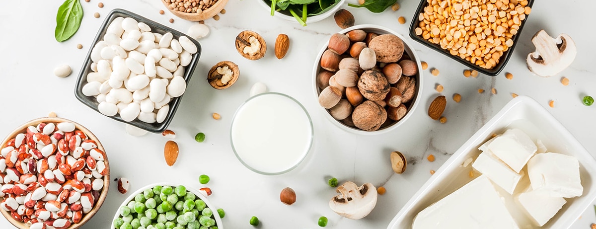 Vegetarian Protein Sources: Is Soy A Healthy Source Of Protein?  Nutritionists Explain