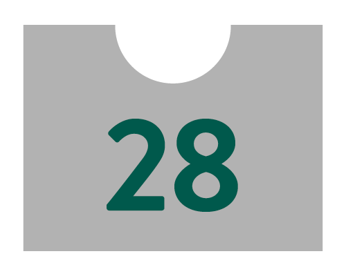 Day 28