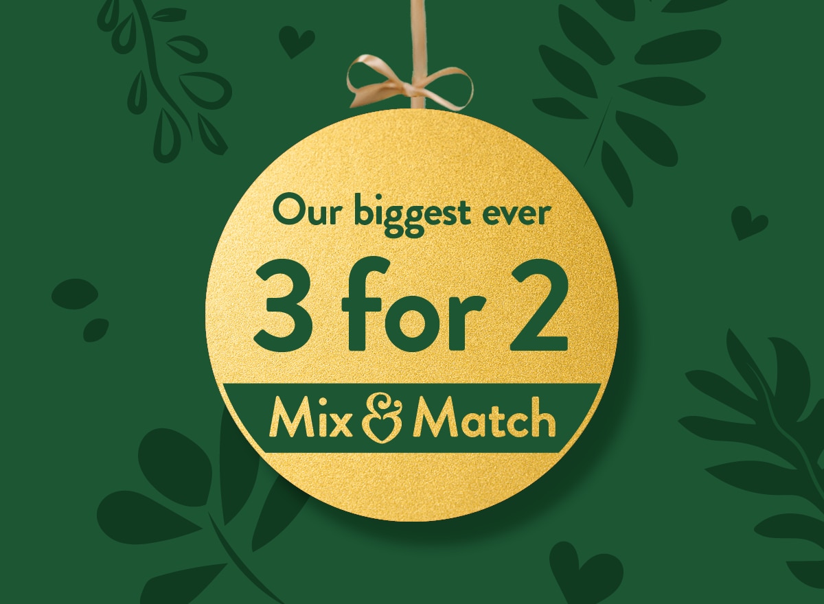 3 for 2 mix and match