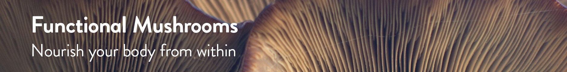 Functional Mushrooms