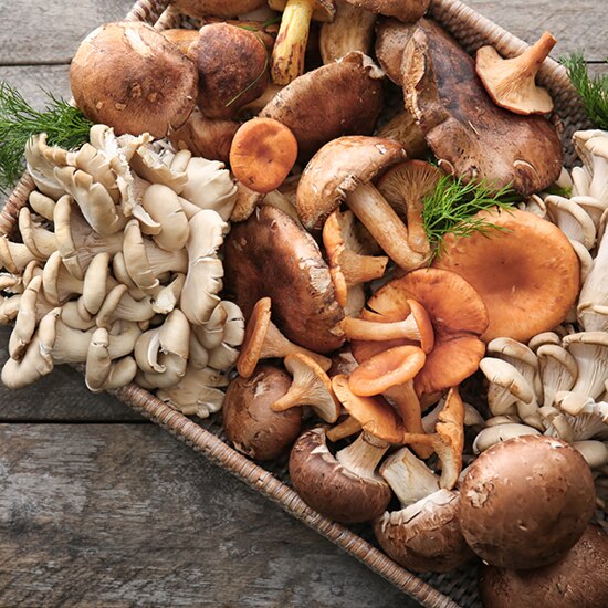 How can mushrooms help you?