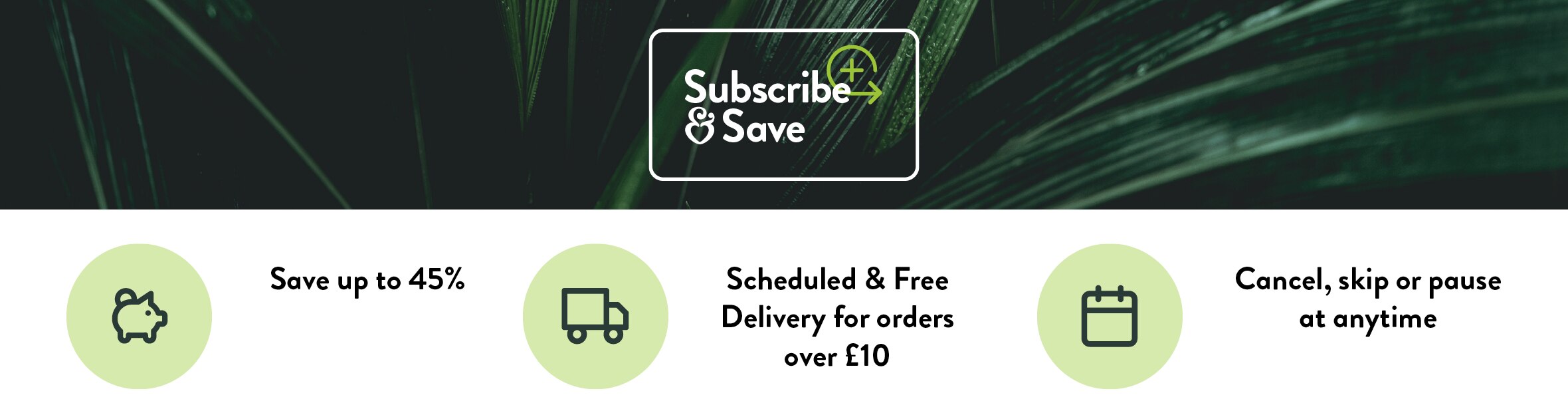 Subscribe & Save Favourites