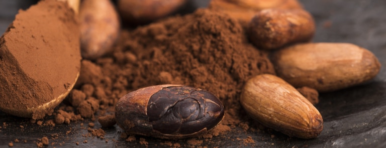 cacao beans and powder