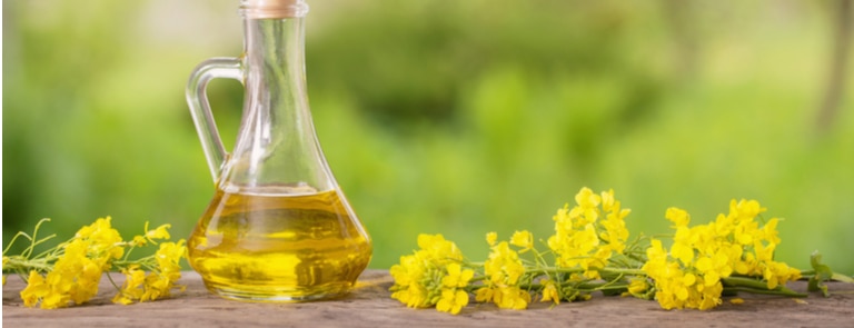 bottle of canola oil next to flowers