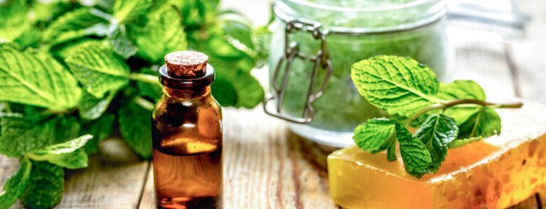 organic soap, essential oil and scrub next to mint leaves