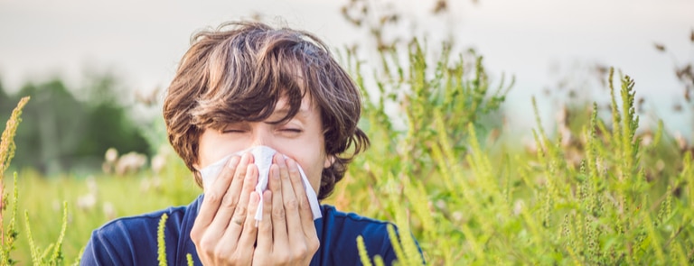 Guide: hay fever remedies and relief image