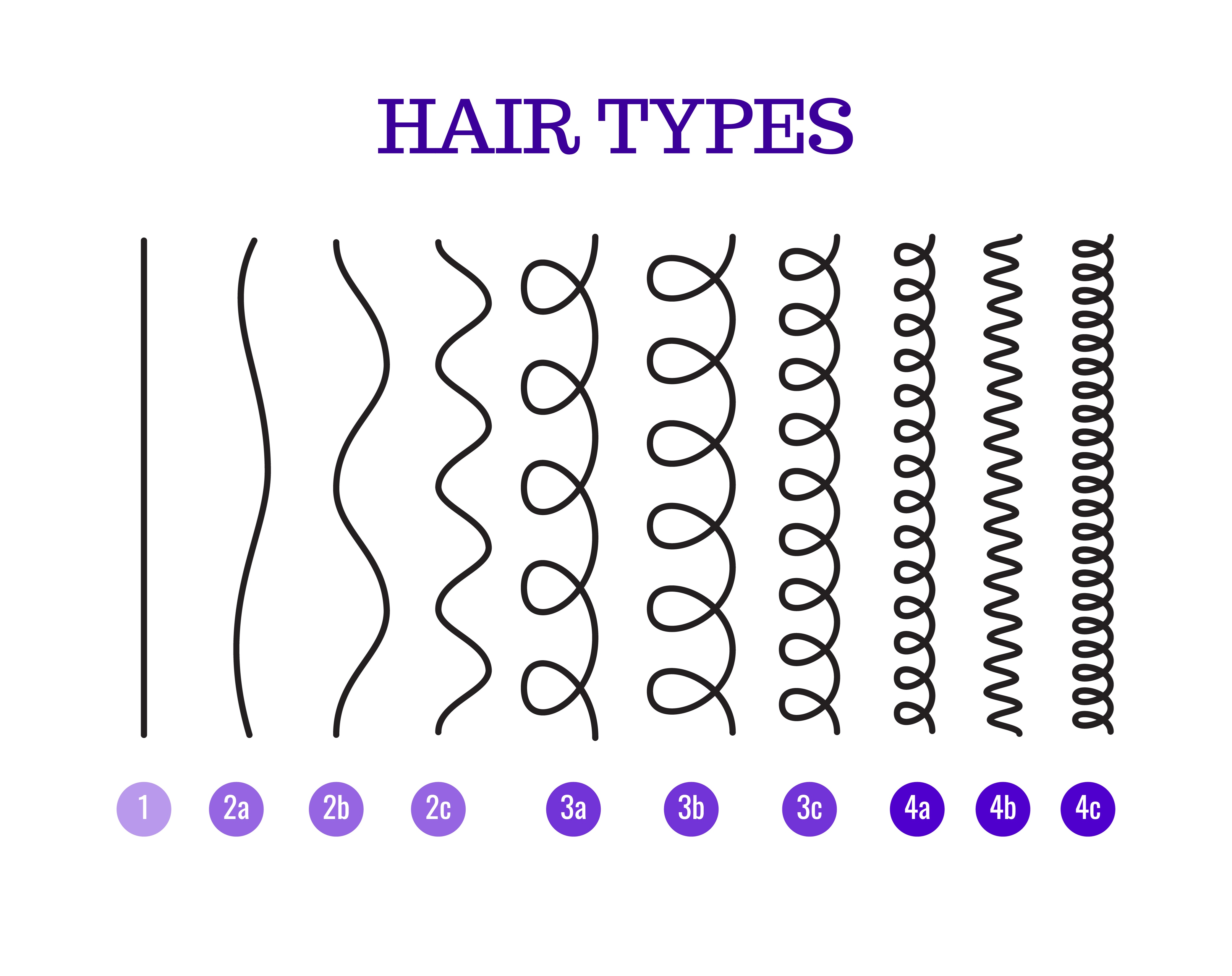 curly hair type chart