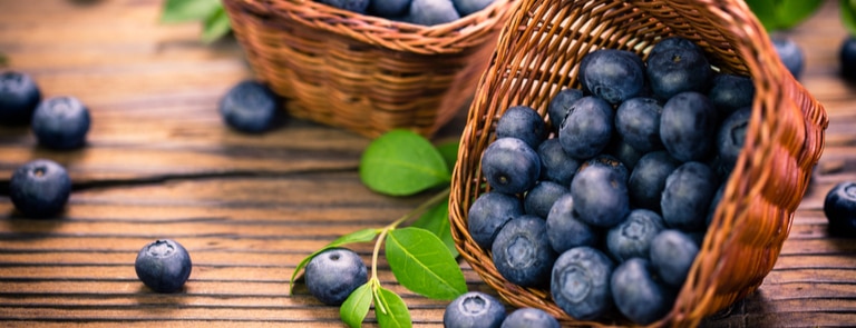 fresh blueberries in basket