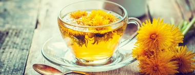 Surprising Dandelion Tea Benefits
