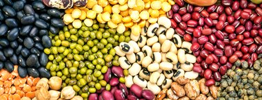 Types of Legumes & Legume Benefits