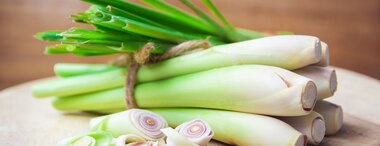 What is Lemongrass: Benefits & Uses