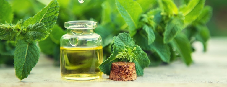 mint leaves next to a bottle of peppermint essential oil