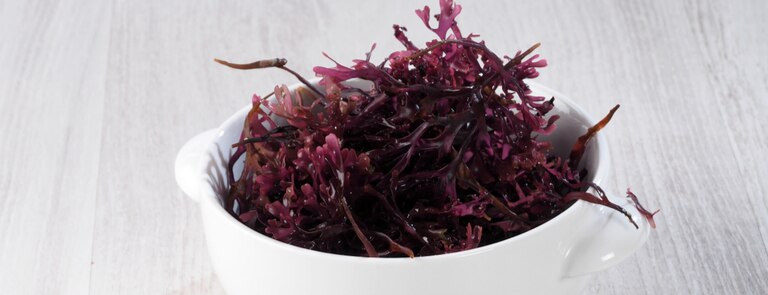 sea moss purple in bowl