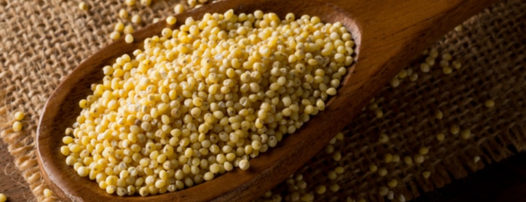 What is millet? image