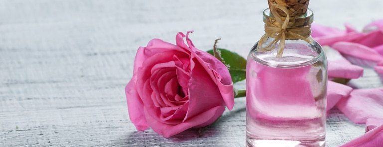 a pink rose and rosewater