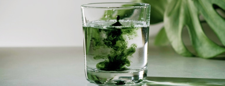 chlorophyll liquid in a glass of water