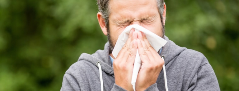 Hay fever: what is it and what causes it? image