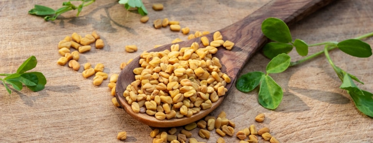 Fenugreek Benefits Uses Dosage Side Effects Holland Barrett