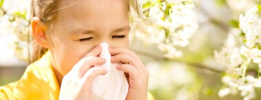 How To Fight Summer Allergies