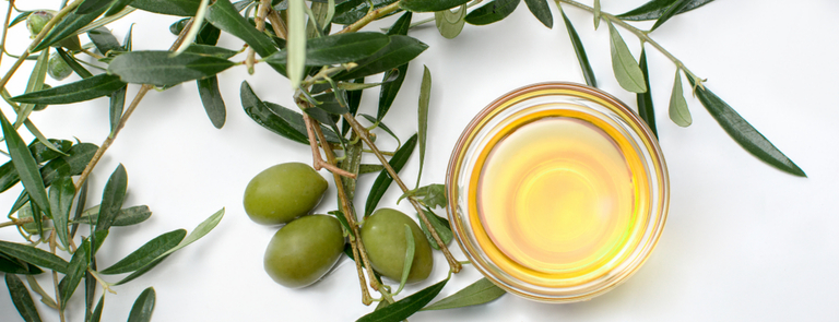 Olive Leaf Extract: Benefits, Uses & Side Effects | Holland & Barrett